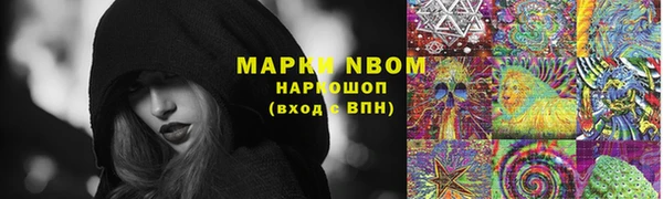 дмт Алзамай
