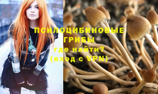 экстази Алексеевка