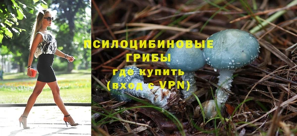 дмт Алзамай