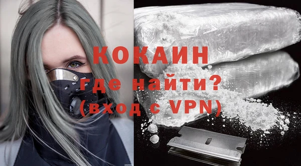 стаф Коряжма