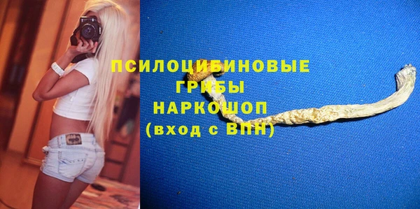 дмт Алзамай
