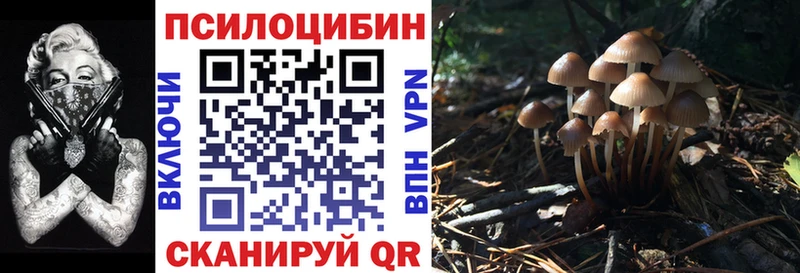 Псилоцибиновые грибы GOLDEN TEACHER  OMG вход  Каменск-Уральский 